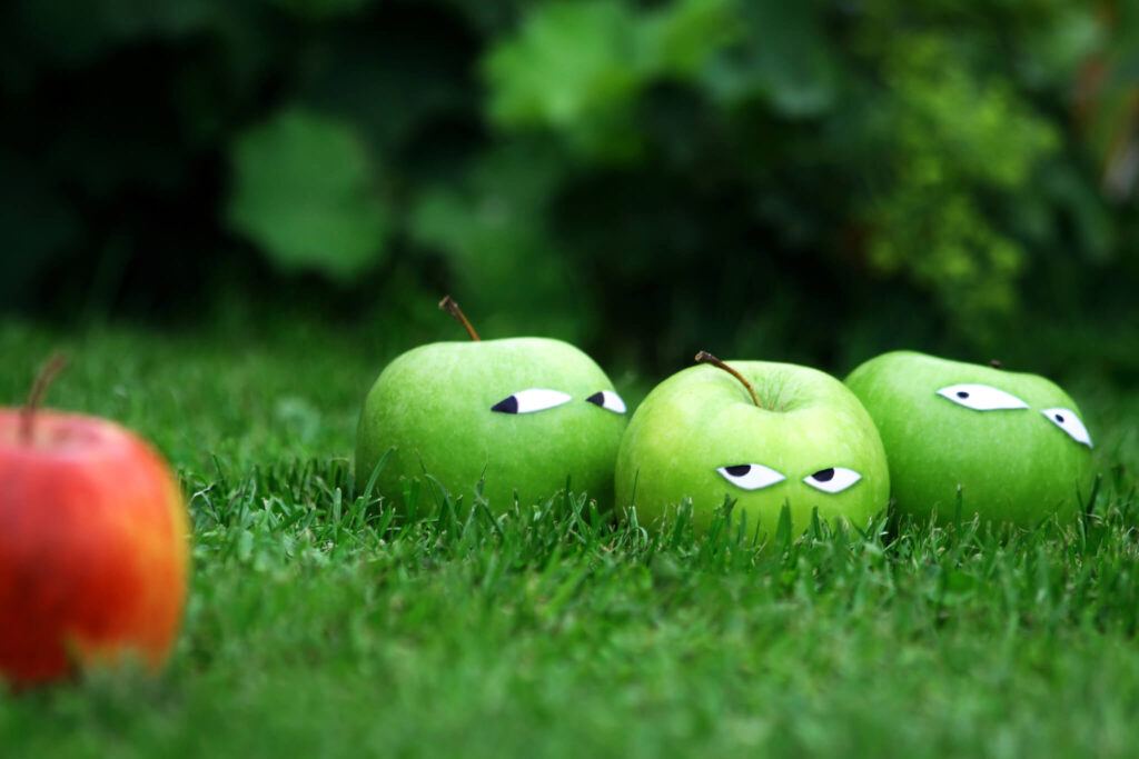 three green apples staring at a red apple