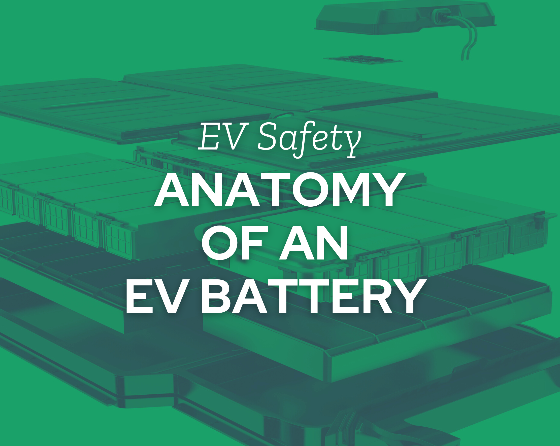 Anatomy of an EV Battery
