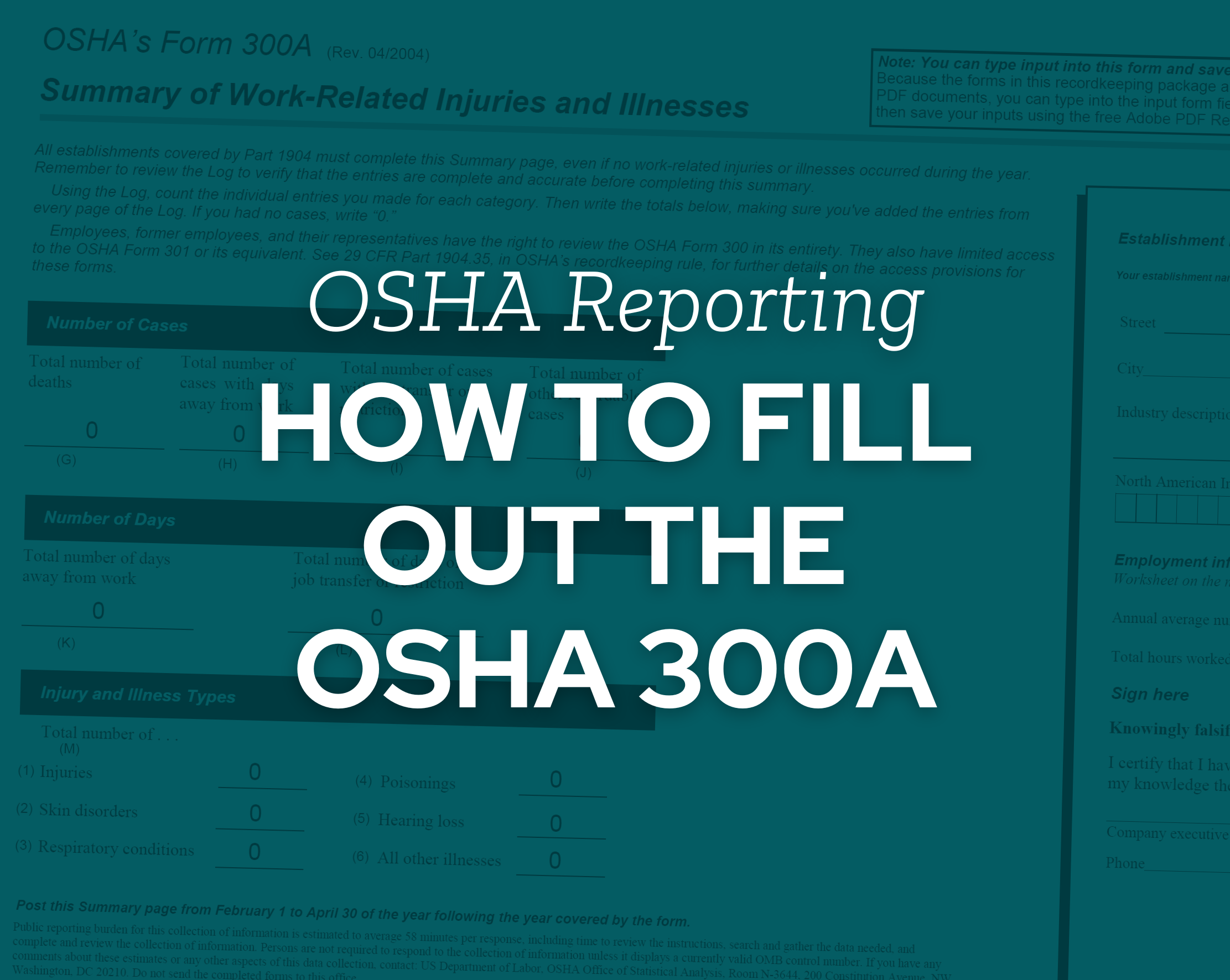 Osha Fillable 300 Form - Printable Forms Free Online